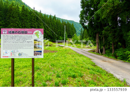 250531結東の石垣田 133557939