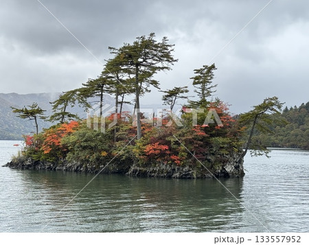 恵比寿大黒島　その2 133557952