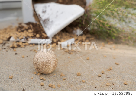 割れた植木鉢と野球のボール 133557986