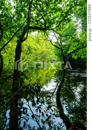 250602龍ヶ窪 133557999