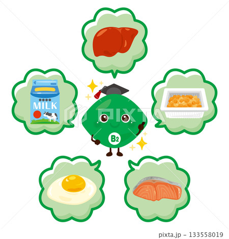 ビタミンB2を多く含む食品とビタミンB2のキャラクターイラストセット 133558019