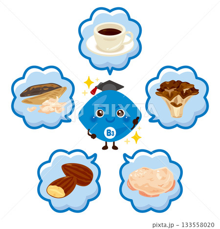 ビタミンB3を多く含む食品とビタミンB3のキャラクターイラストセット 133558020