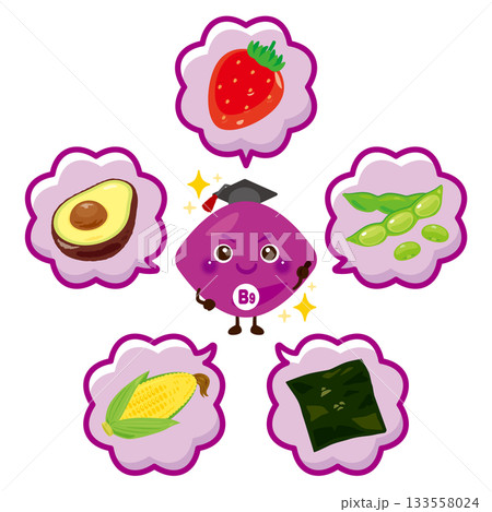 ビタミンB9を多く含む食品とビタミンB9のキャラクターイラストセット 133558024