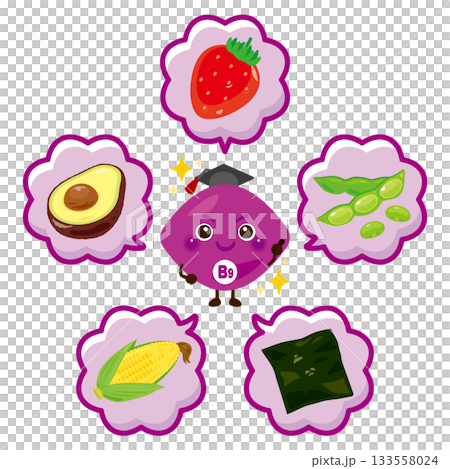 ビタミンB9を多く含む食品とビタミンB9のキャラクターイラストセット 133558024
