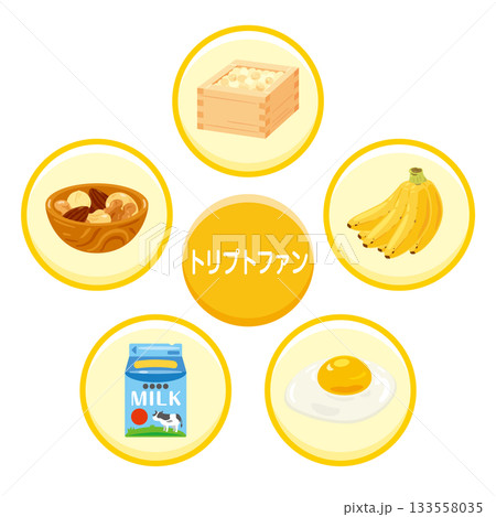 トリプトファンを多く含む食品のイラストセット　日本語 133558035