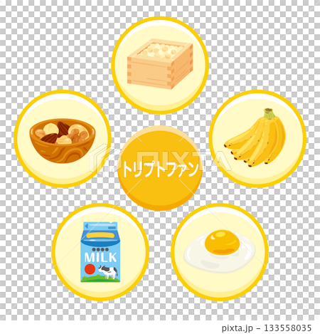 トリプトファンを多く含む食品のイラストセット　日本語 133558035