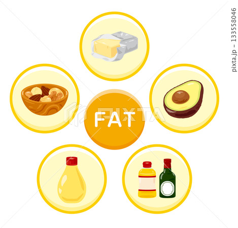 様々な脂質を多く含む食品のイラストセット 英語 様々な脂質を多く含む食品のイラストセット 英語 133558046