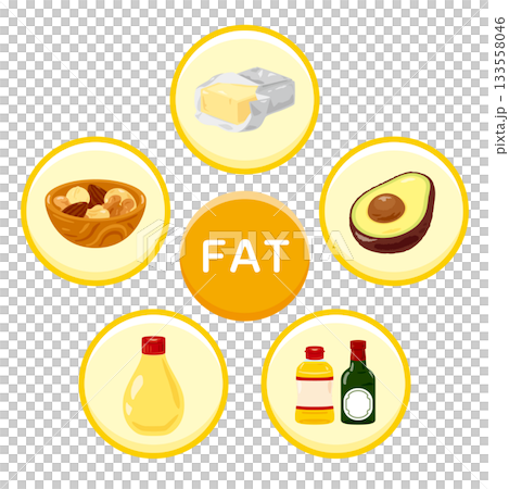様々な脂質を多く含む食品のイラストセット 英語 様々な脂質を多く含む食品のイラストセット 英語 133558046