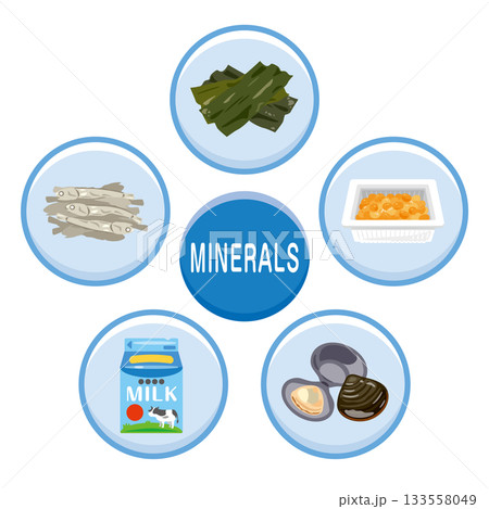 様々なミネラルを多く含む食品のイラストセット　英語 133558049