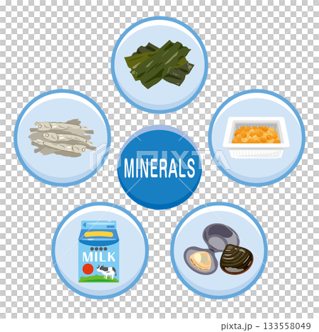 様々なミネラルを多く含む食品のイラストセット　英語 133558049