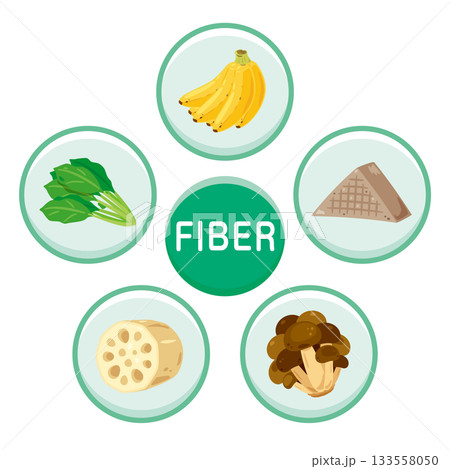 様々な食物繊維を多く含む食品のイラストセット　英語 133558050