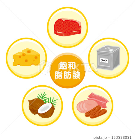 様々な飽和脂肪酸を多く含む食品のイラストセット 133558051