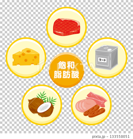 様々な飽和脂肪酸を多く含む食品のイラストセット 133558051