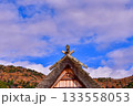 茅葺き屋根の先っちょ 133558053