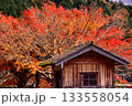 美山かやぶきの里の玄関口バス停の紅葉 133558054