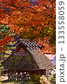 紅葉に覆われる茅葺き屋根の家 133558059