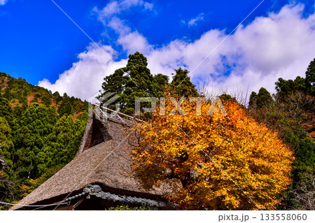 青空と茅葺きと紅葉 133558060