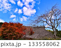 冬の美山かやぶきの里 133558062