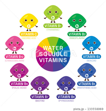 水溶性ビタミン類のキャラクターイラストセット　英語 133558069