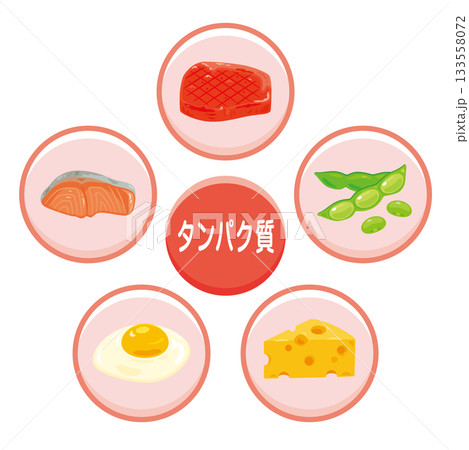 様々なタンパク質を多く含む食品のイラストセット　日本語 133558072