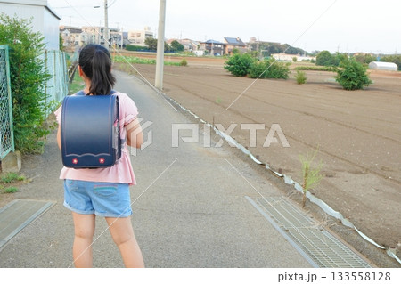 青色ランドセルを背負った小学生の後ろ姿。広い農地と一本道の対比が美しい構図。 133558128
