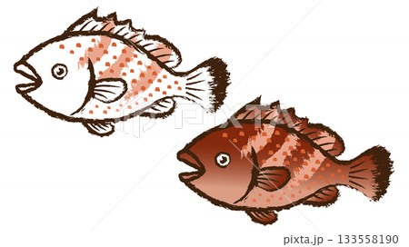 キジハタ キジハタ 133558190