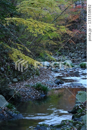 美霞洞渓谷1（香川県仲多度郡まんのう町勝浦） 133558692