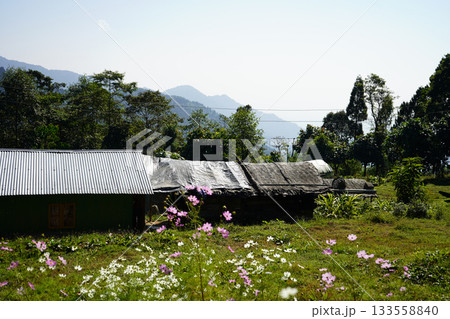 Rustic Village Hut in Himalayan Foothills with Wildflowers and Misty Mountains 133558840