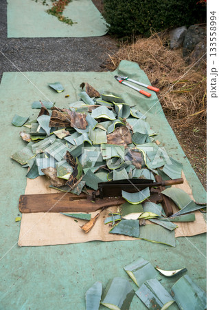 Japanese Gardener 133558994