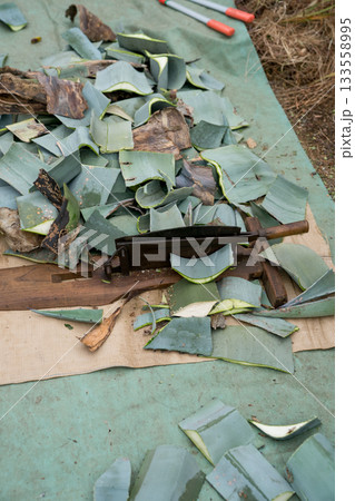 Japanese Gardener Japanese Gardener 133558995