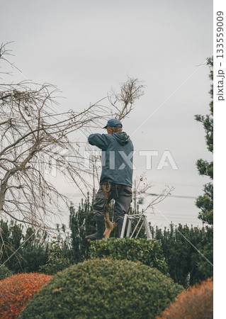 Japanese Gardener Japanese Gardener 133559009