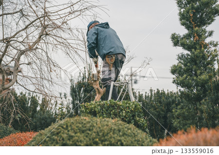 Japanese Gardener 133559016