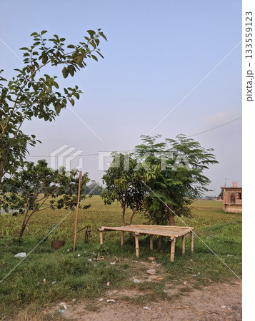 Rural landscape with wooden platform and distant trees Rural landscape with wooden platform and distant trees 133559123