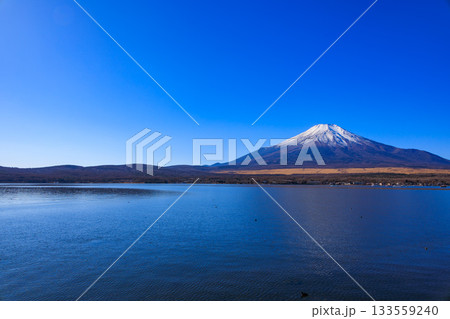 山中湖親水公園から見えた冬の青空と富士山 山中湖親水公園から見えた冬の青空と富士山 133559240