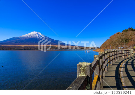 山中湖親水公園から見えた冬の青空と富士山 133559241
