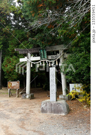 【美浦村　茨城県指定自然環境保全地域　かつてあった信太郡の一ノ宮「楯縫神社」参道入口鳥居と社号標】 133559451