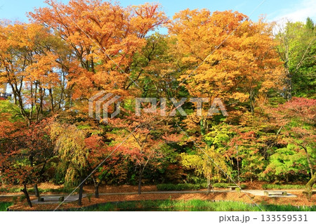 秋田市 千秋公園 秋田市 千秋公園 133559531