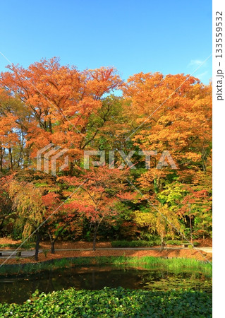 秋田市 千秋公園 秋田市 千秋公園 133559532