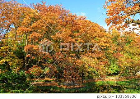 秋田市　千秋公園 133559536