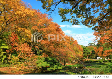秋田市 千秋公園 秋田市 千秋公園 133559538
