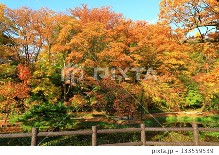 秋田市　千秋公園 133559539