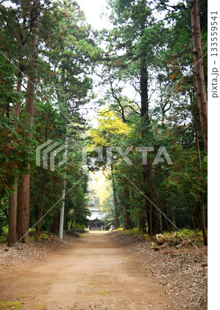 【美浦村 茨城県指定自然環境保全地域 かつてあった信太郡の一ノ宮「楯縫神社」参道】 【美浦村 茨城県指定自然環境保全地域 かつてあった信太郡の一ノ宮「楯縫神社」参道】 133559541