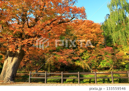 秋田市 千秋公園 秋田市 千秋公園 133559546