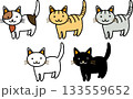かわいい猫のイラストセット 133559652