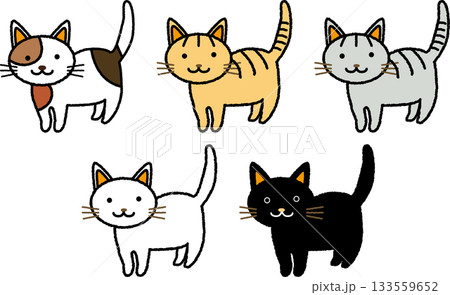 かわいい猫のイラストセット かわいい猫のイラストセット 133559652