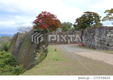 岡城 高石垣と鐘櫓跡、西中仕切跡方面の景色(大分県竹田市) 岡城 高石垣と鐘櫓跡、西中仕切跡方面の景色(大分県竹田市) 133559828