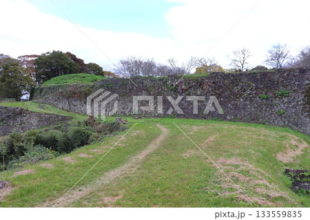 岡城 角櫓跡前から眺める西の丸の石垣（大分県竹田市） 133559835