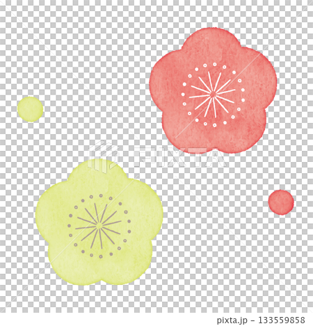 Two-color watercolor plum blossom illustration | Japanese style, spring, seasonal design material 133559858