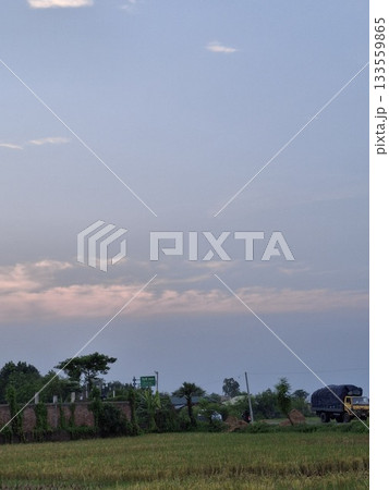 Rural landscape at dusk with soft clouds and silhouetted trees 133559865