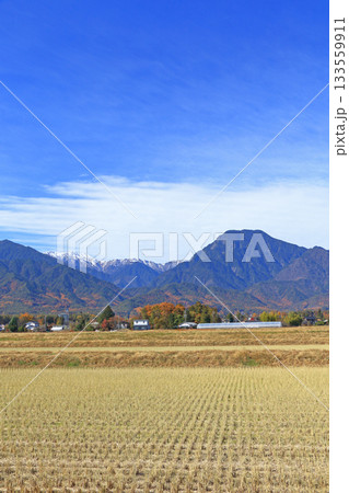 晩秋の安曇野 田園と北アルプス 晩秋の安曇野 田園と北アルプス 133559911